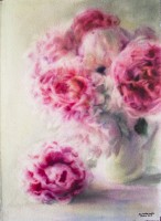 Study on rose colour